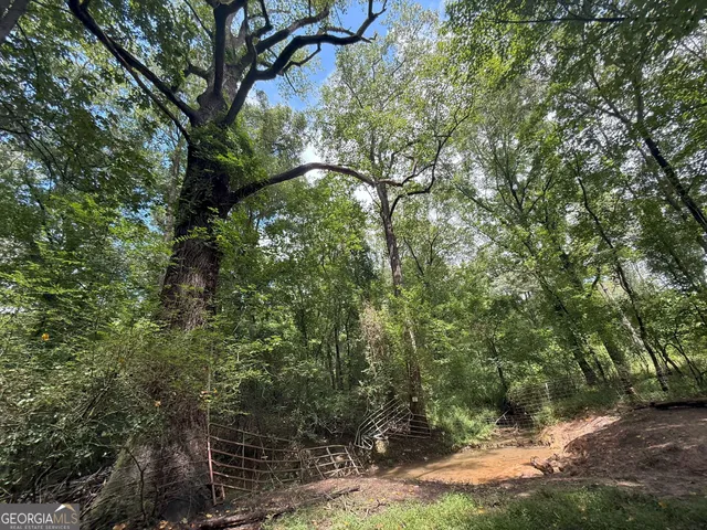 a view of a forest with trees