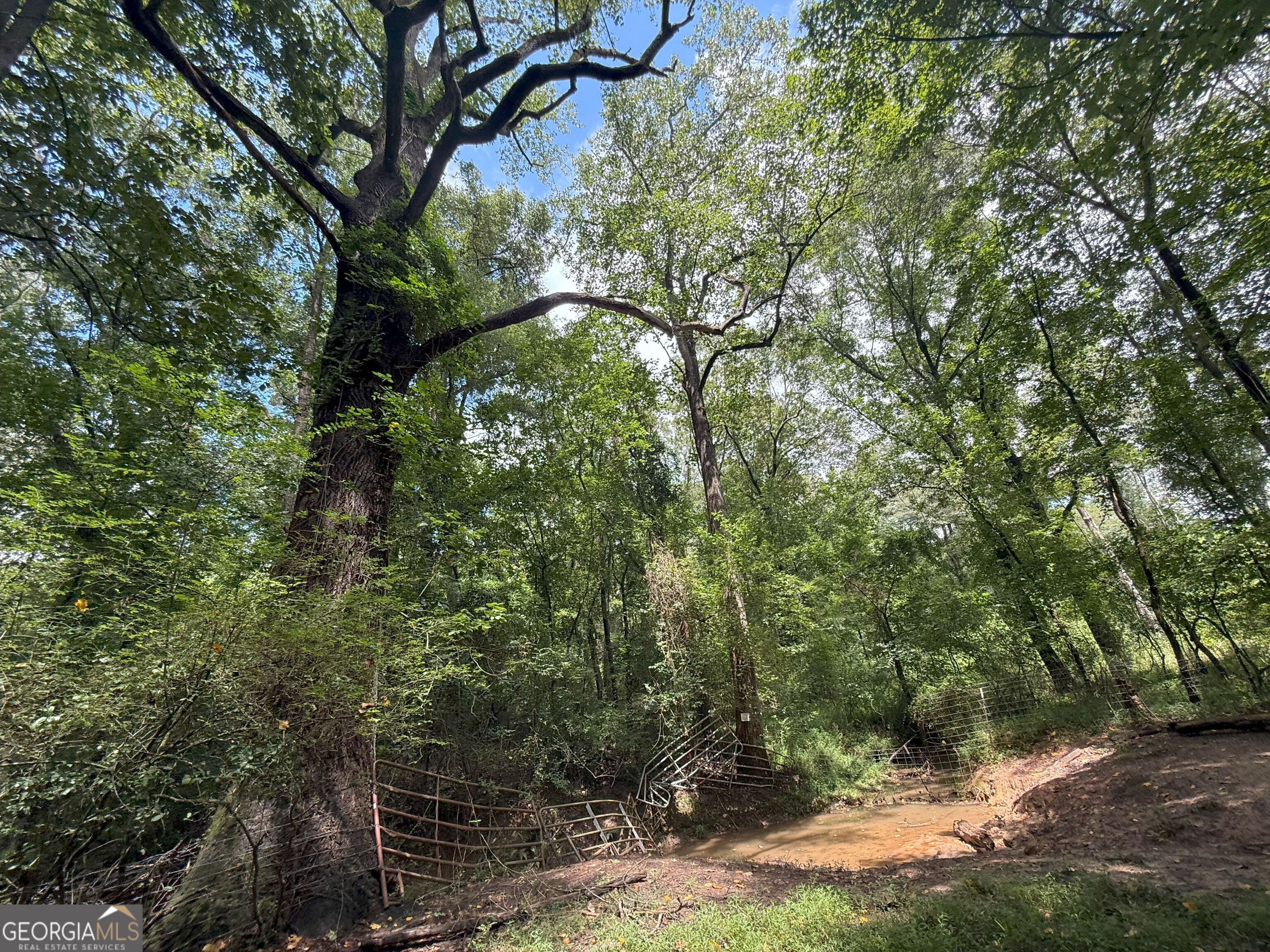 9 Red Rose Road Nicholson, GA 30565 - Photo 23 of 65 a backyard of a house with lots of trees
