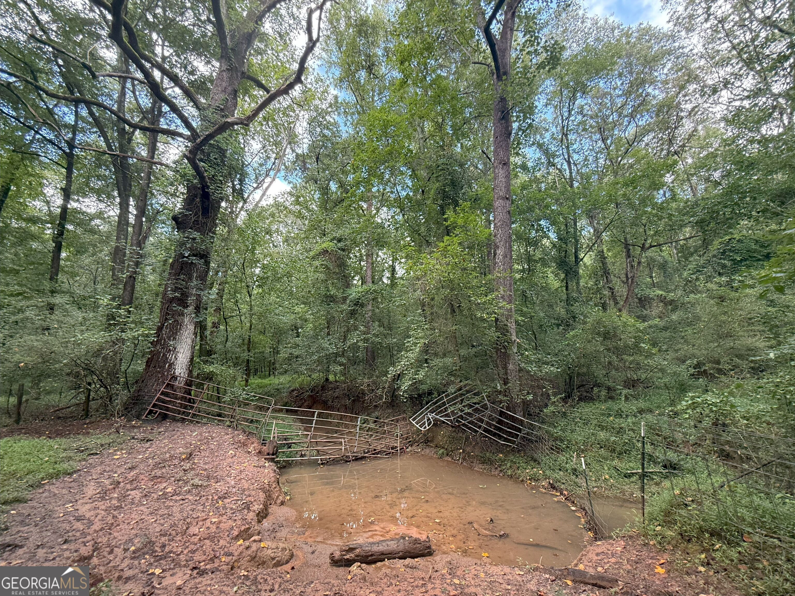 9 Red Rose Road Nicholson, GA 30565 - Photo 24 of 65 a view of a forest with trees