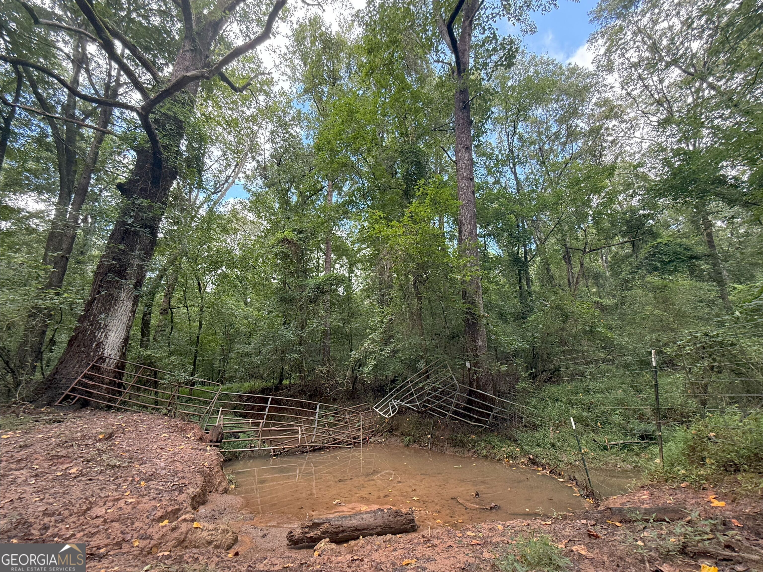9 Red Rose Road Nicholson, GA 30565 - Photo 26 of 65 a view of a forest with trees