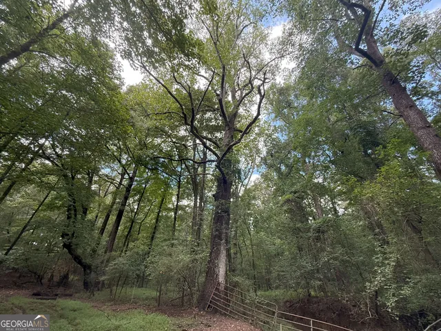 a view of backyard with green space