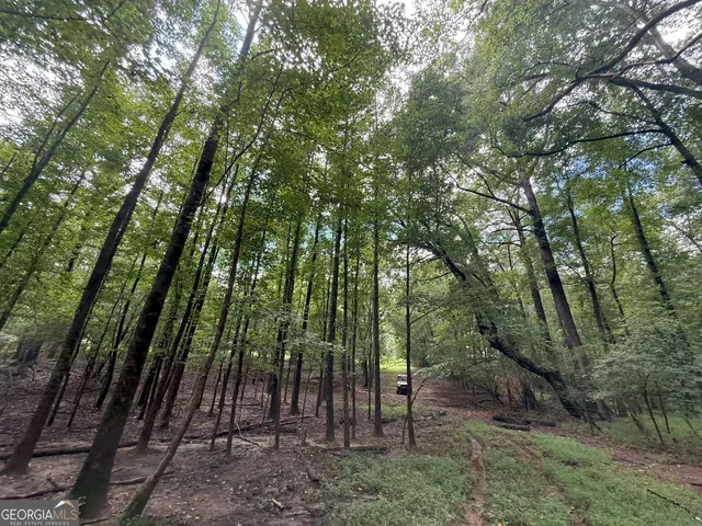a backyard of a house with lots of trees