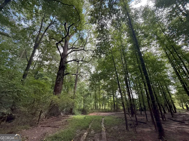 a view of a lake with houses in the back