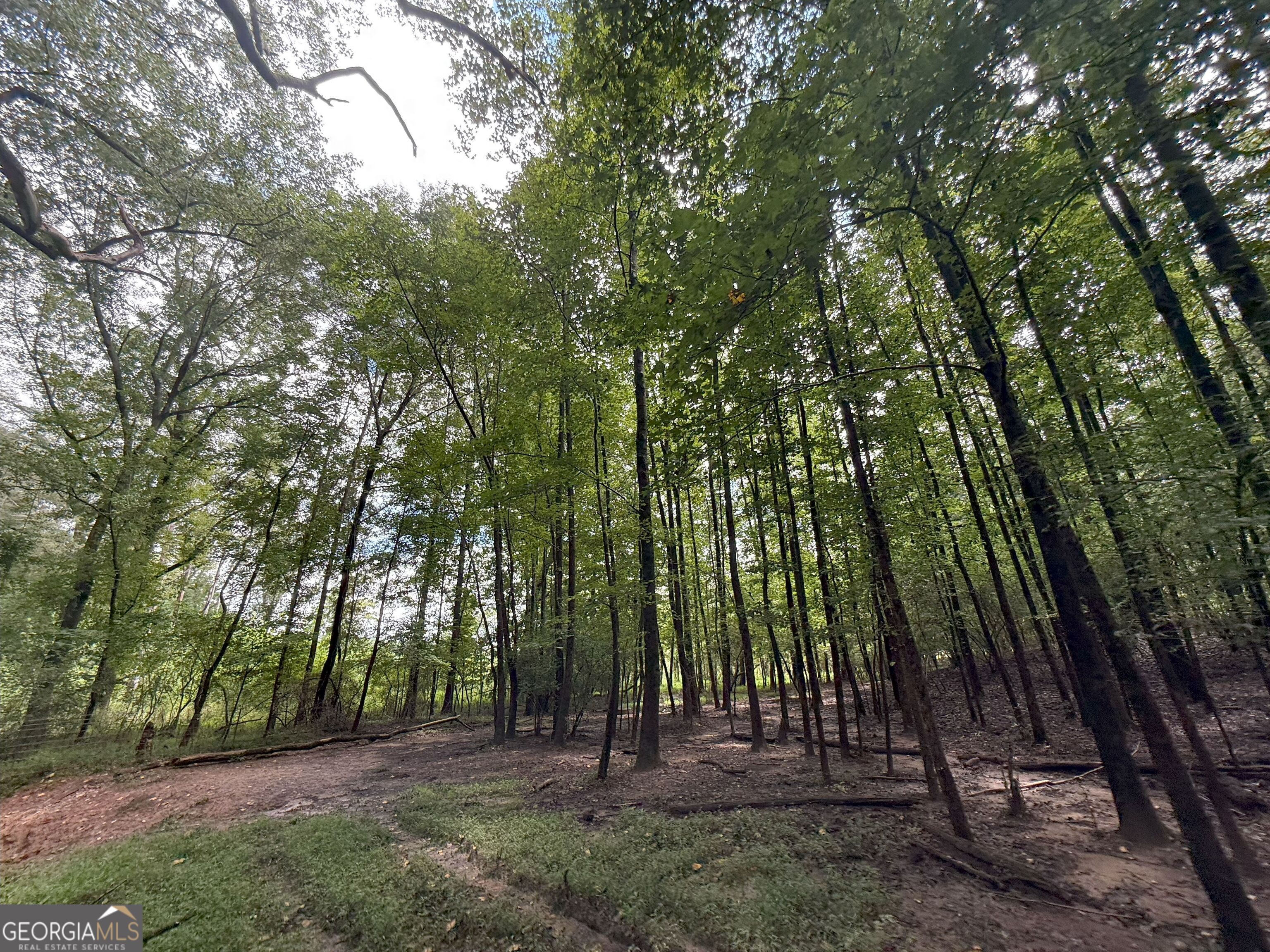 9 Red Rose Road Nicholson, GA 30565 - Photo 32 of 65 a view of backyard with green space