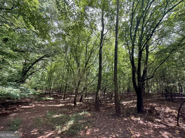 an aerial view of a houses with outdoor space and lake view