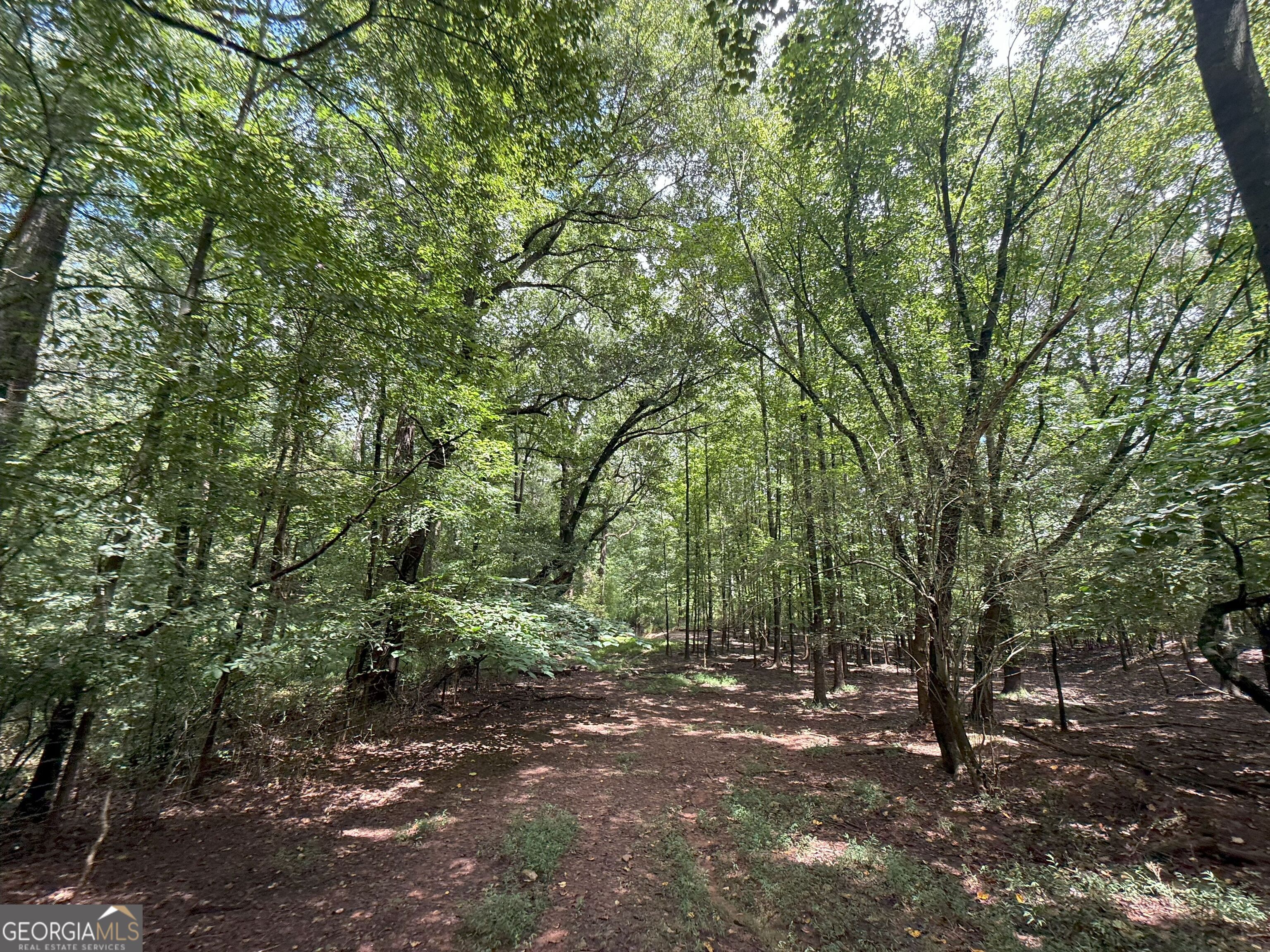 9 Red Rose Road Nicholson, GA 30565 - Photo 36 of 65 a view of outdoor space and trees