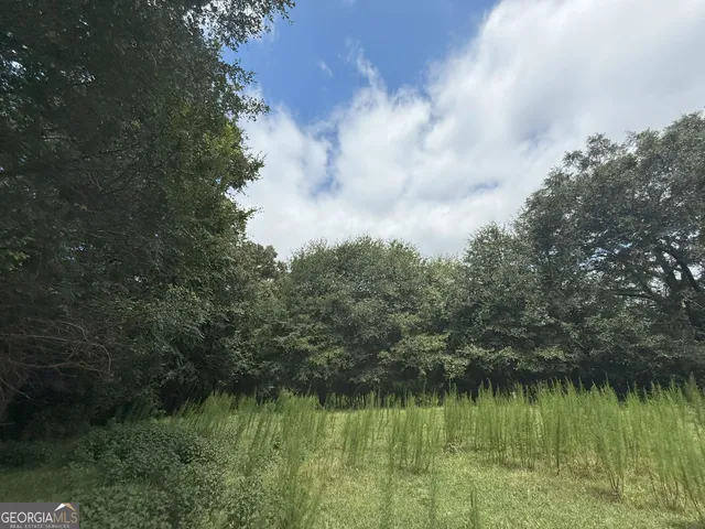 an aerial view of green landscape with trees houses and mountain view
