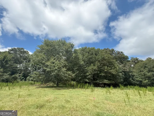 a view of a big yard with green space