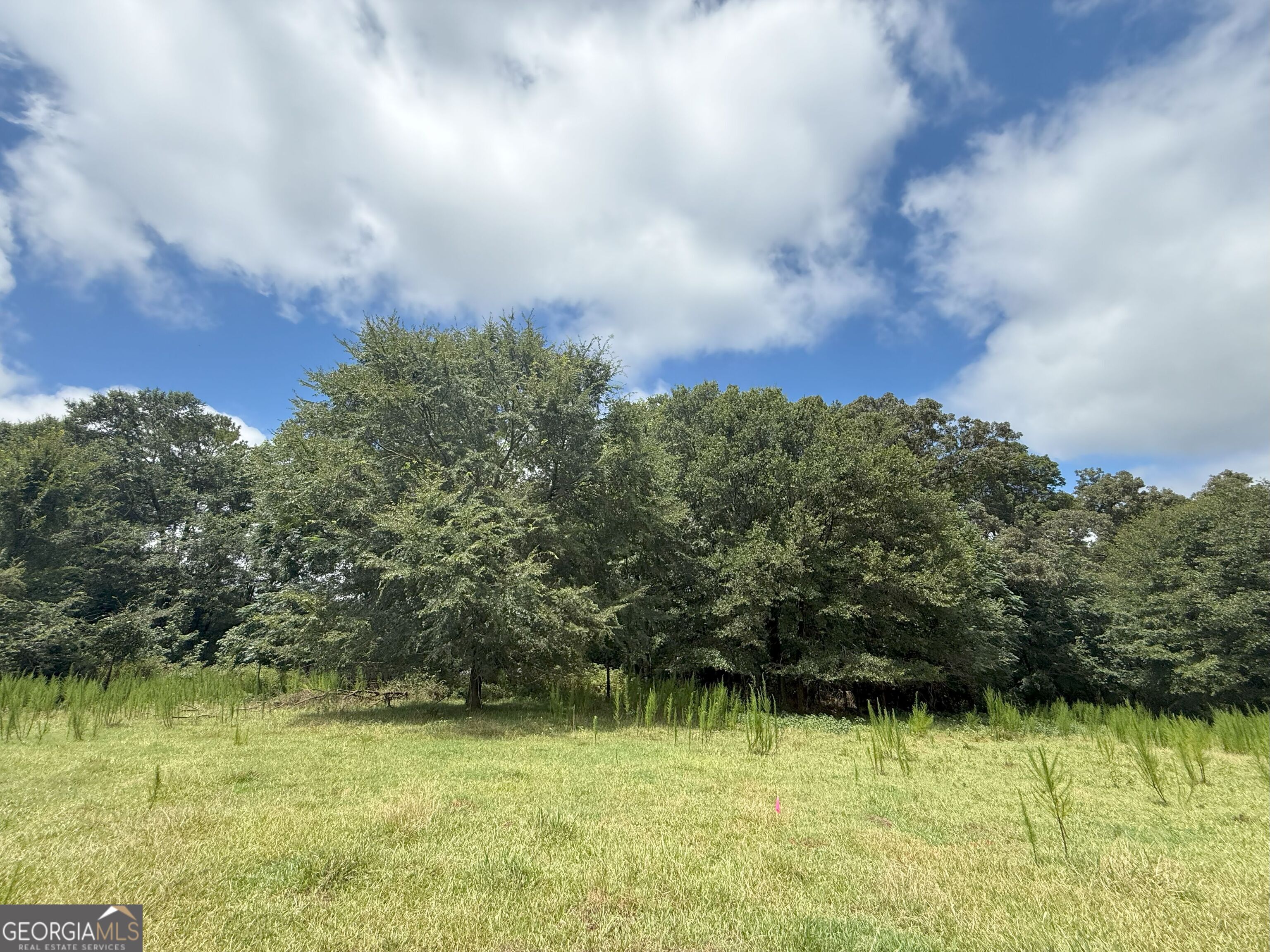9 Red Rose Road Nicholson, GA 30565 - Photo 40 of 65 a view of a lake view