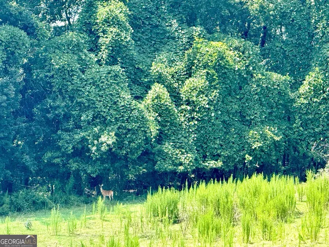 a view of swimming pool from a garden