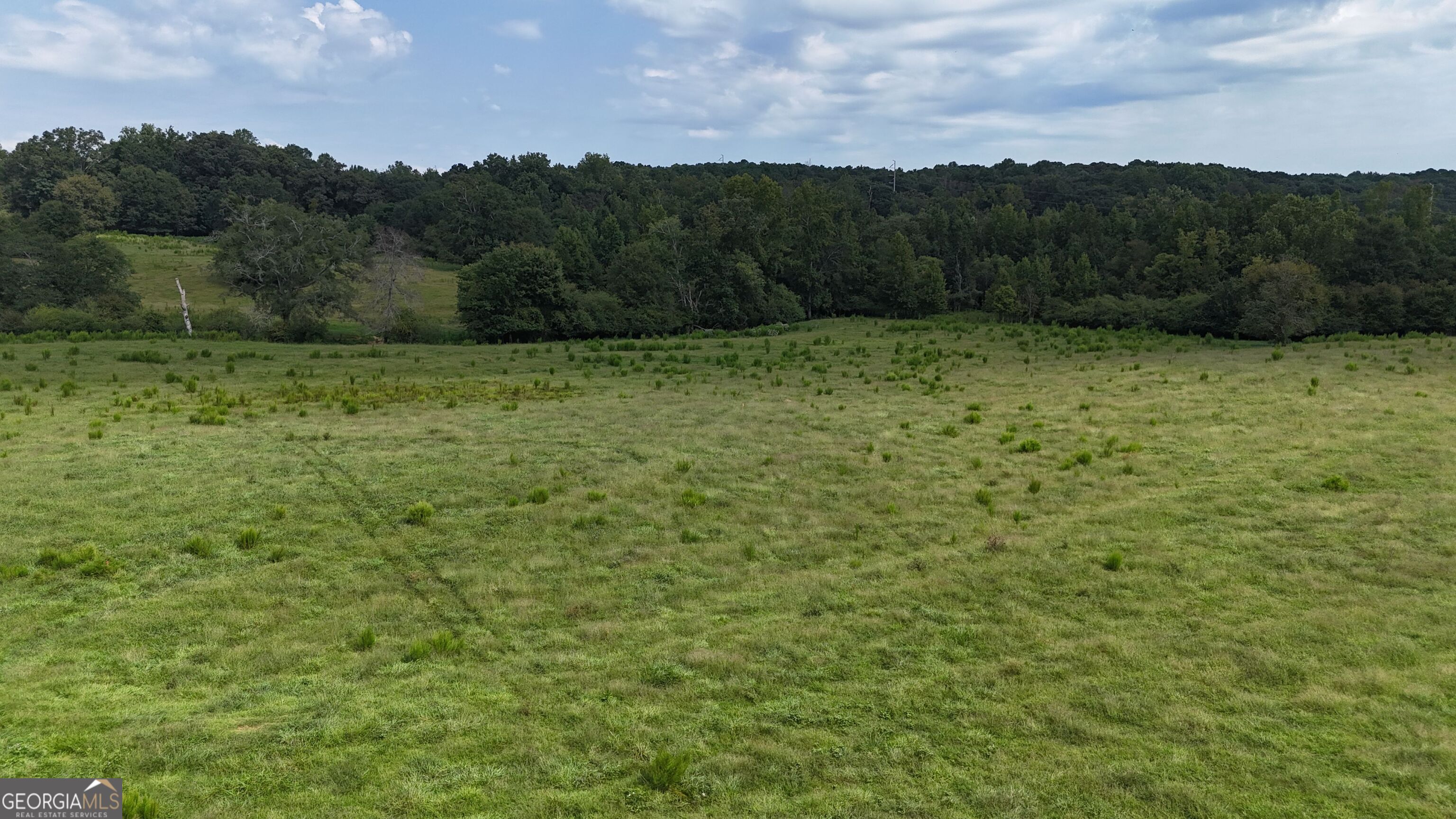 9 Red Rose Road Nicholson, GA 30565 - Photo 42 of 65 a view of a lush green field