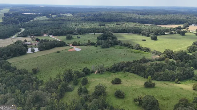 a view of a green field with lots of bushes