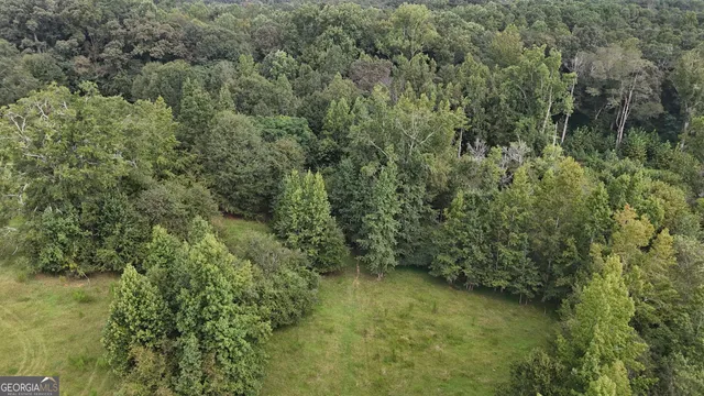 a view of a green field with lots of bushes