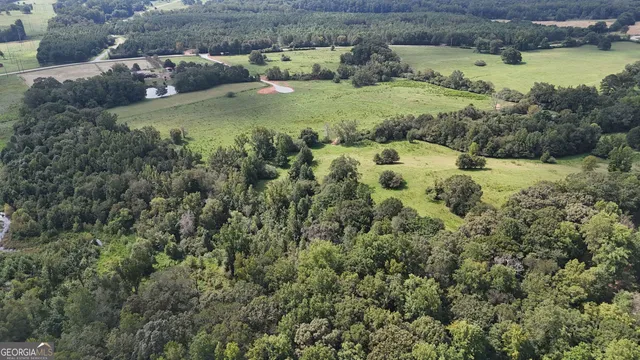 a view of a green field with lots of bushes