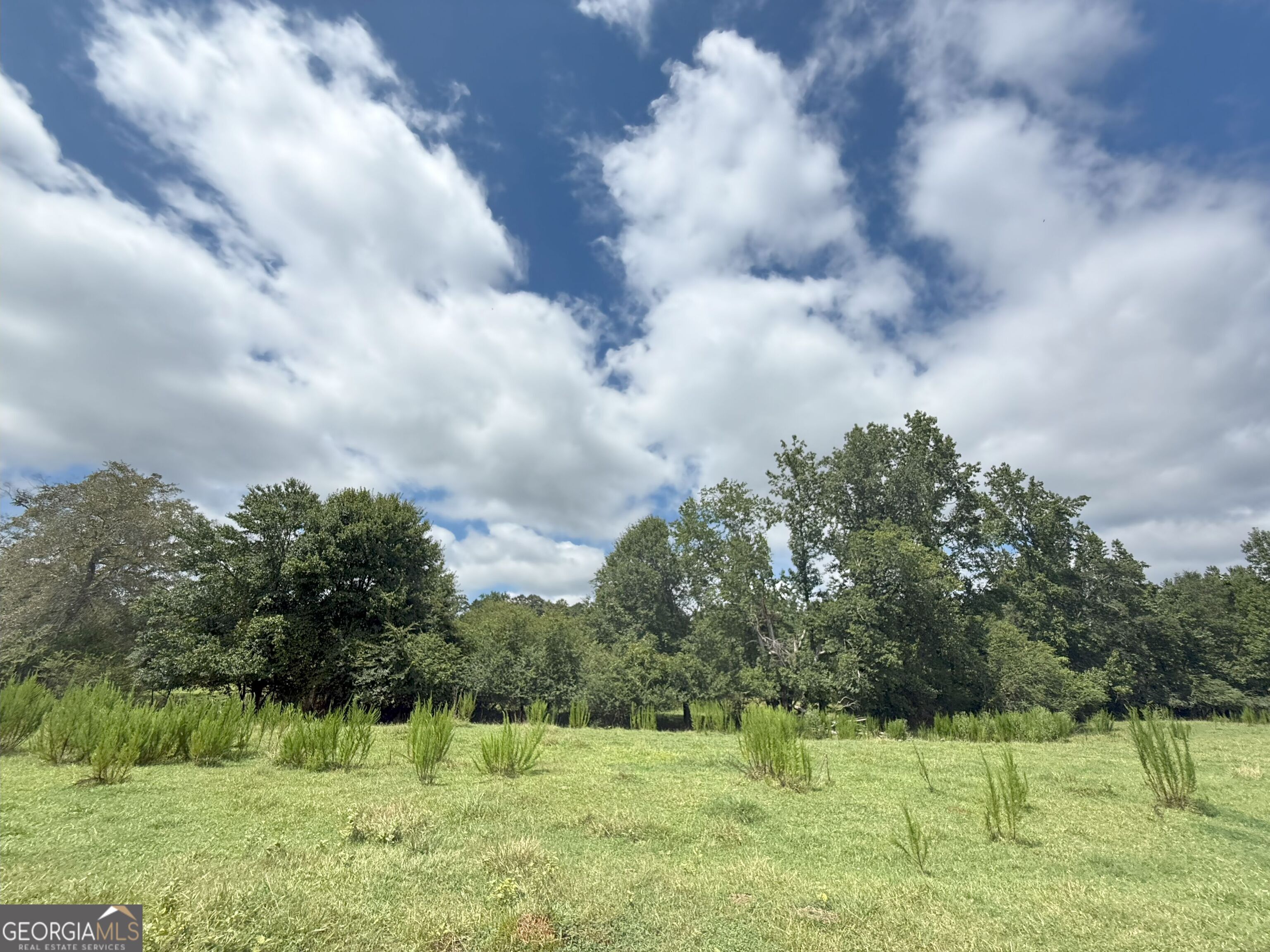 9 Red Rose Road Nicholson, GA 30565 - Photo 5 of 65 a backyard of a house