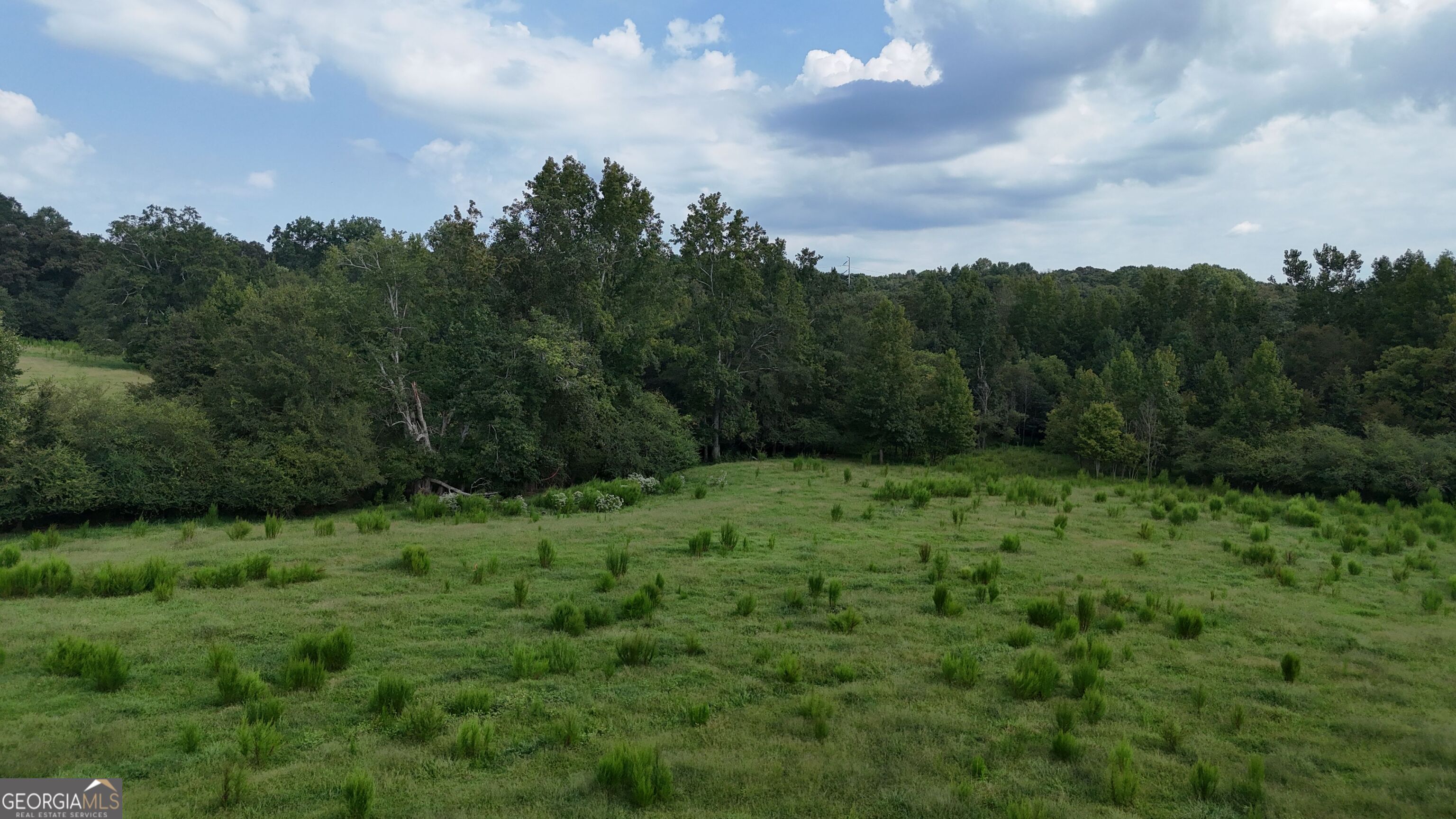 9 Red Rose Road Nicholson, GA 30565 - Photo 55 of 65