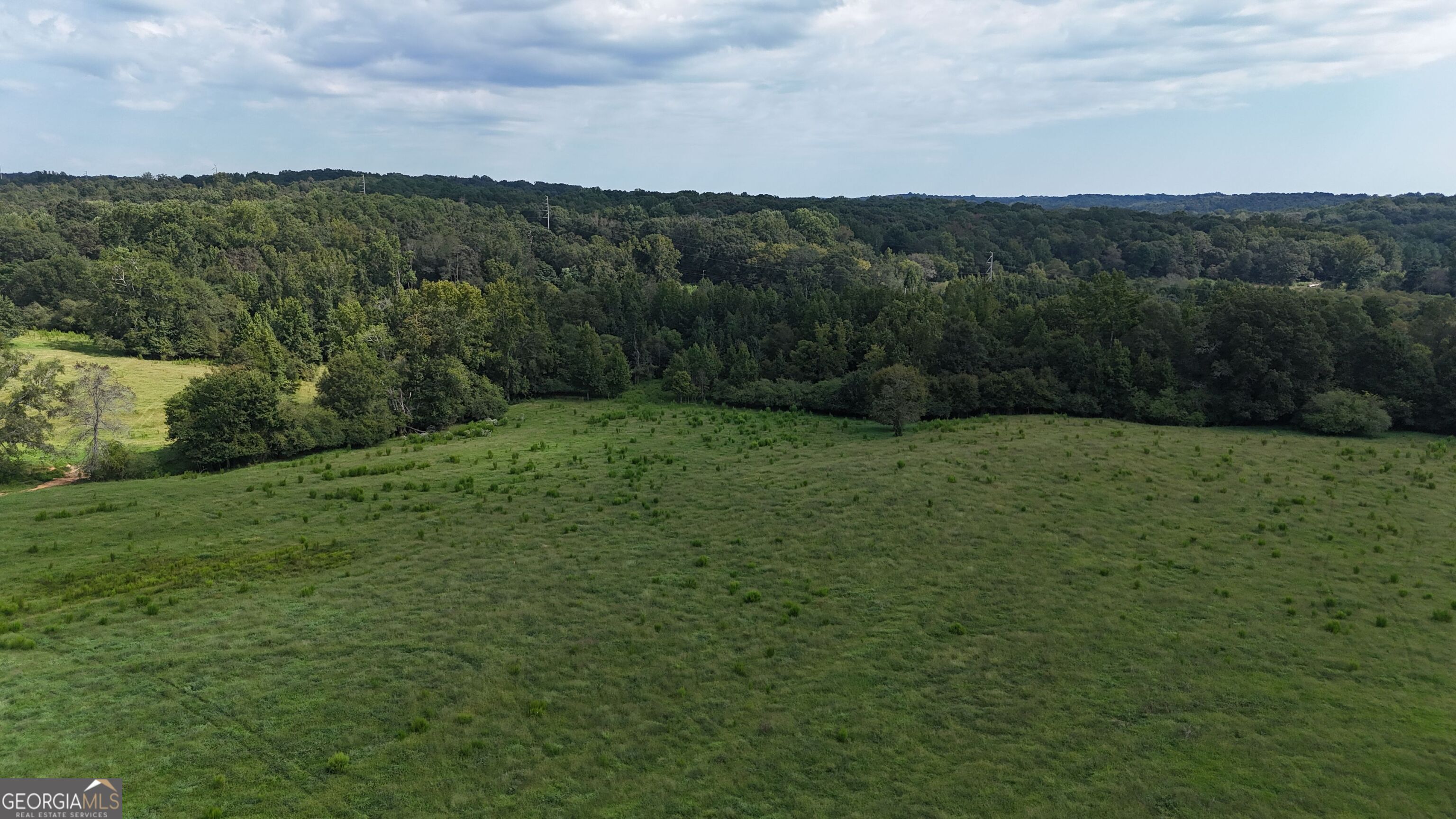 9 Red Rose Road Nicholson, GA 30565 - Photo 58 of 65 a view of a green field with lots of bushes
