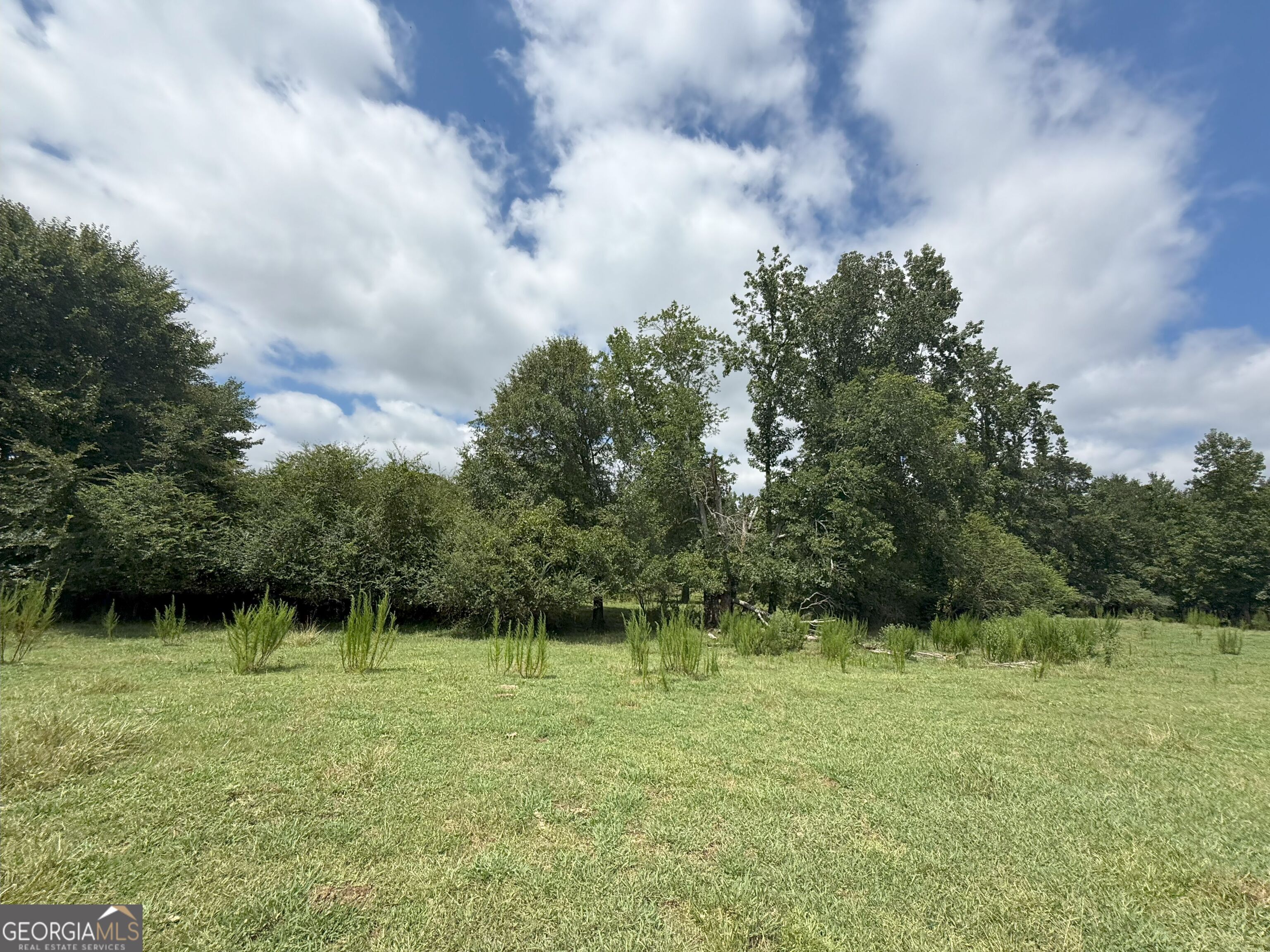 9 Red Rose Road Nicholson, GA 30565 - Photo 6 of 65 a backyard of a house with lots of green space