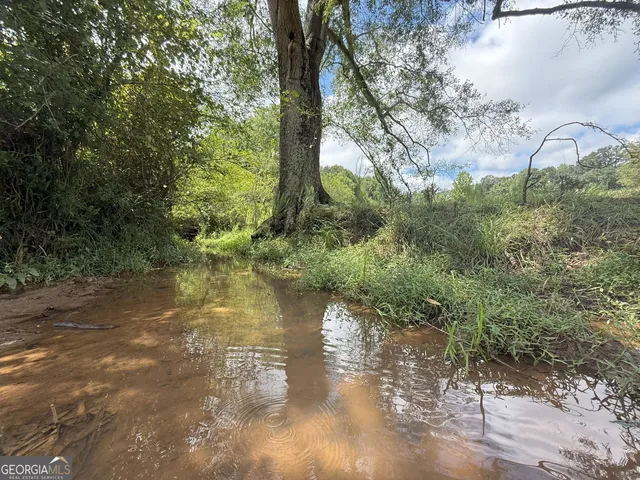 a view of a lake with lots of trees