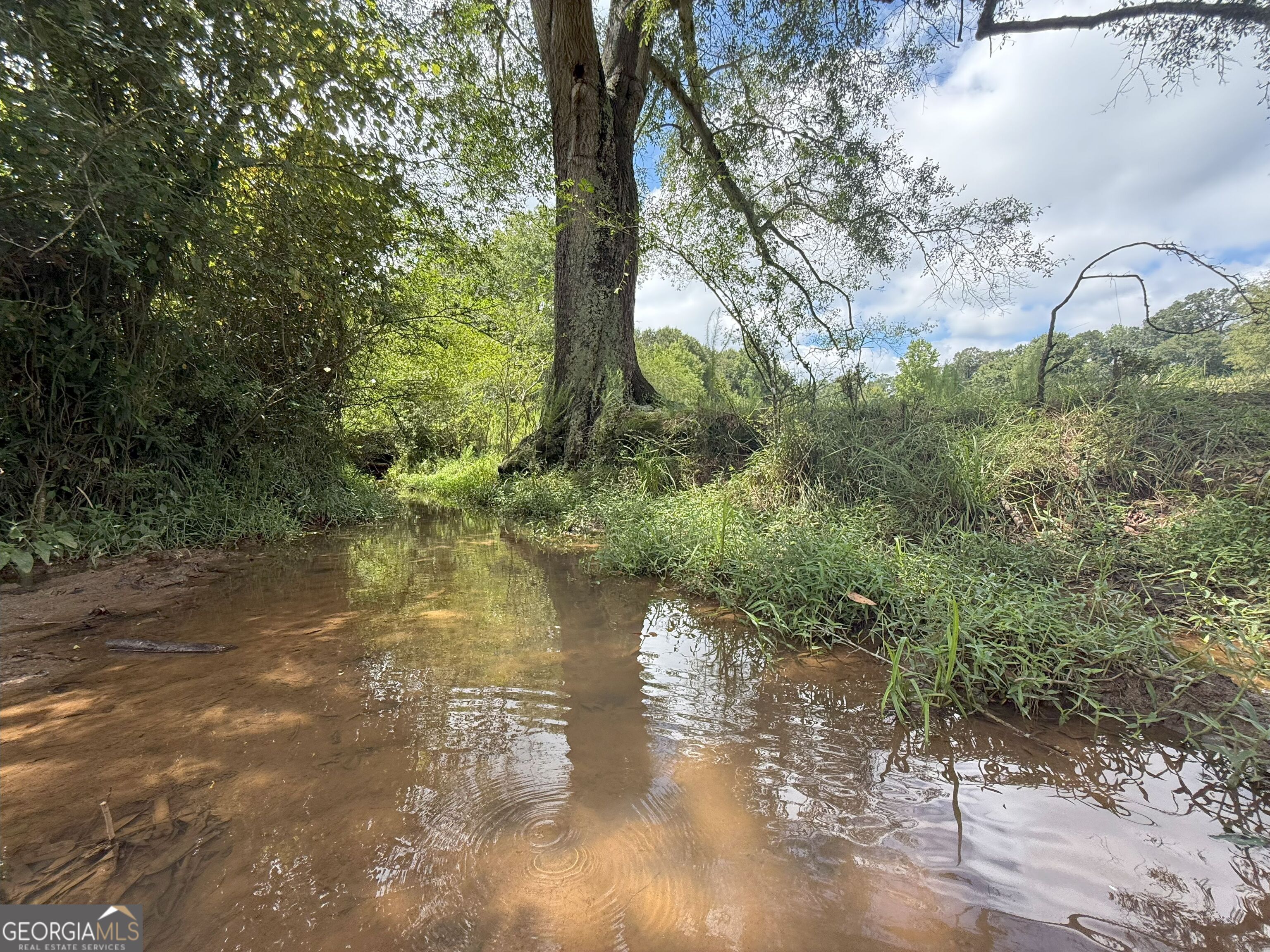 9 Red Rose Road Nicholson, GA 30565 - Photo 7 of 65 a view of a lake with lots of trees
