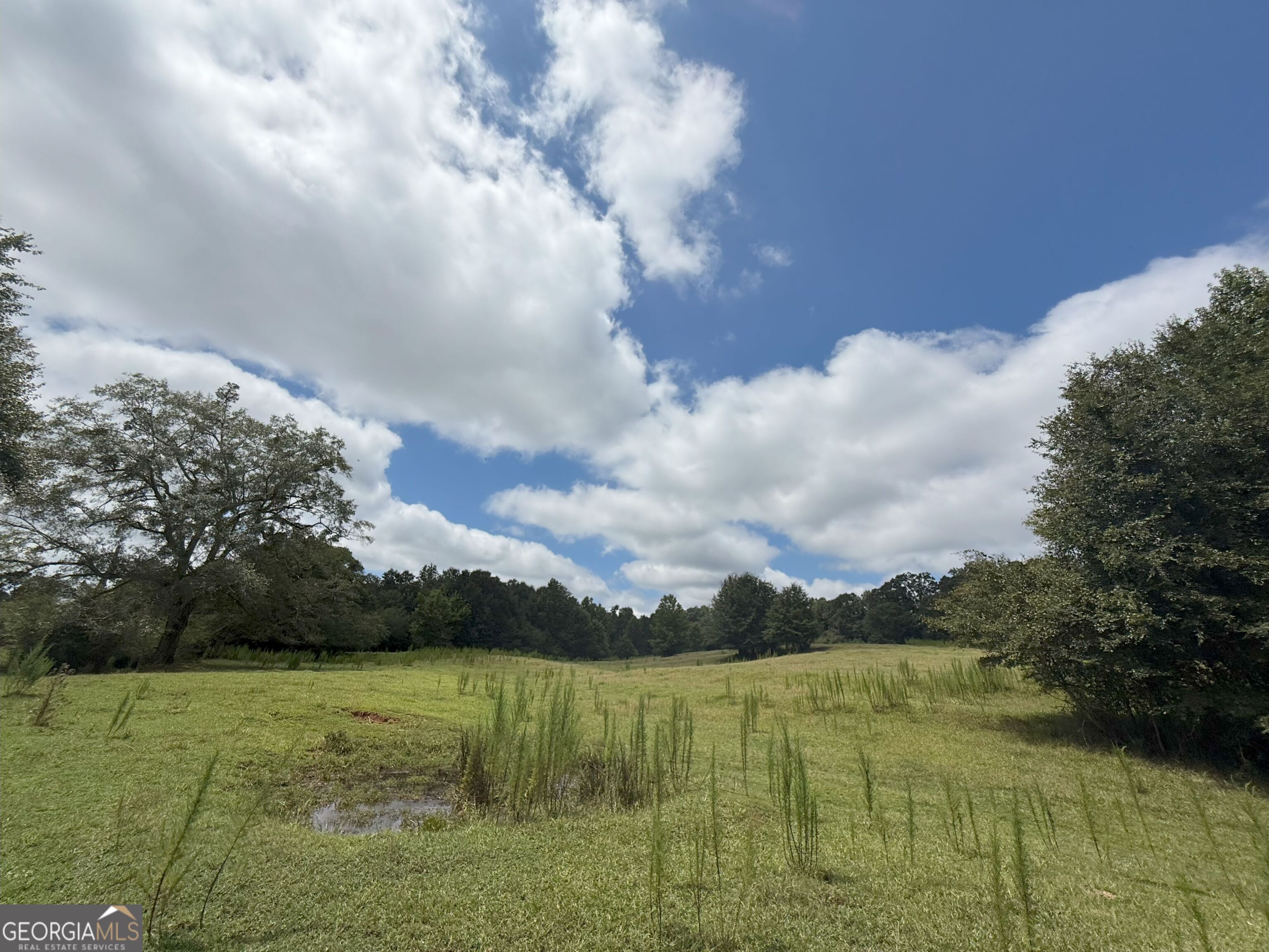 9 Red Rose Road Nicholson, GA 30565 - Photo 9 of 65