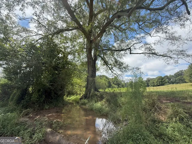 a view of a lake in between two of trees