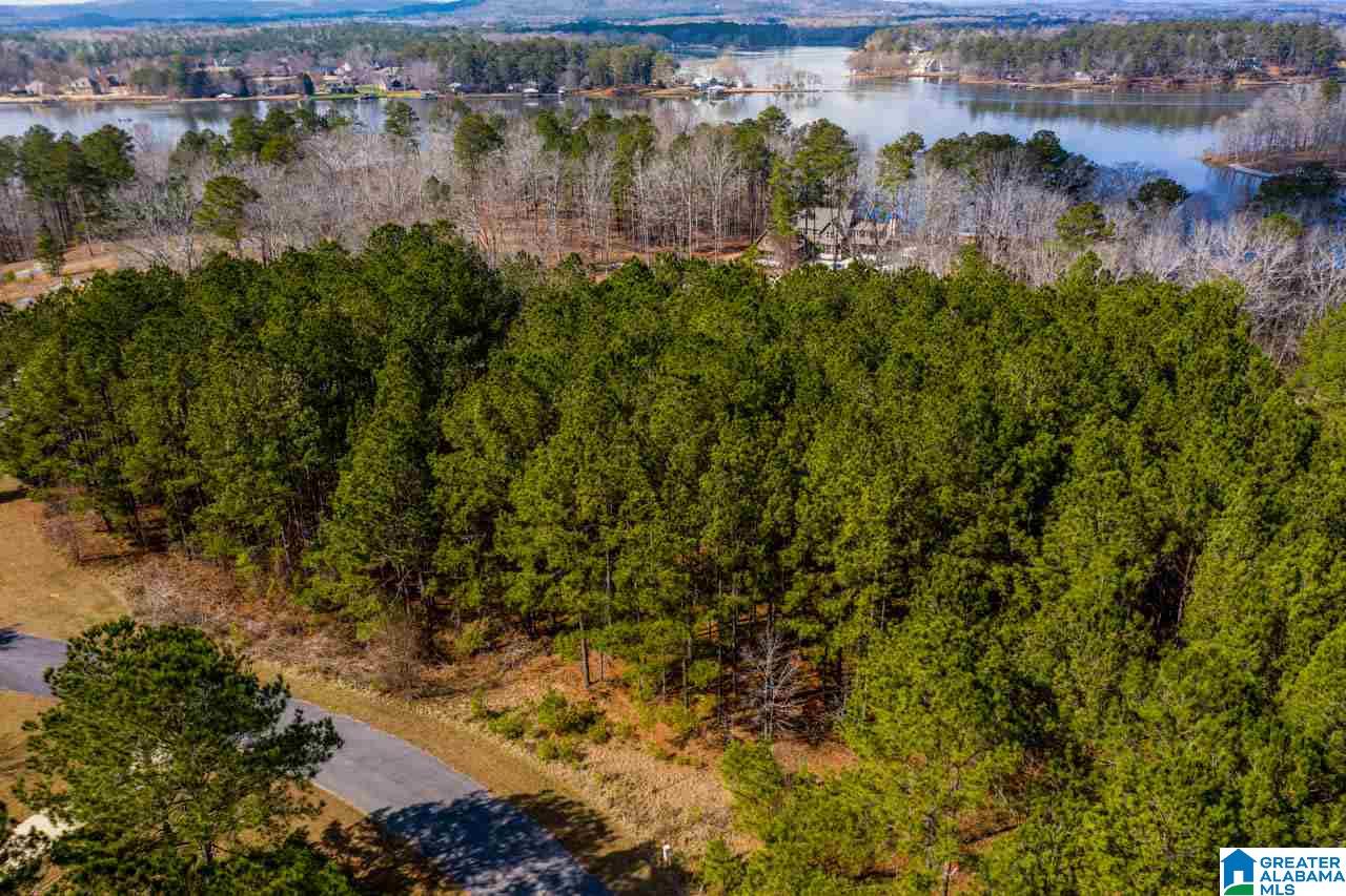 Cottage Square Loop Sylacauga, AL 35151 - Photo 1 of 11