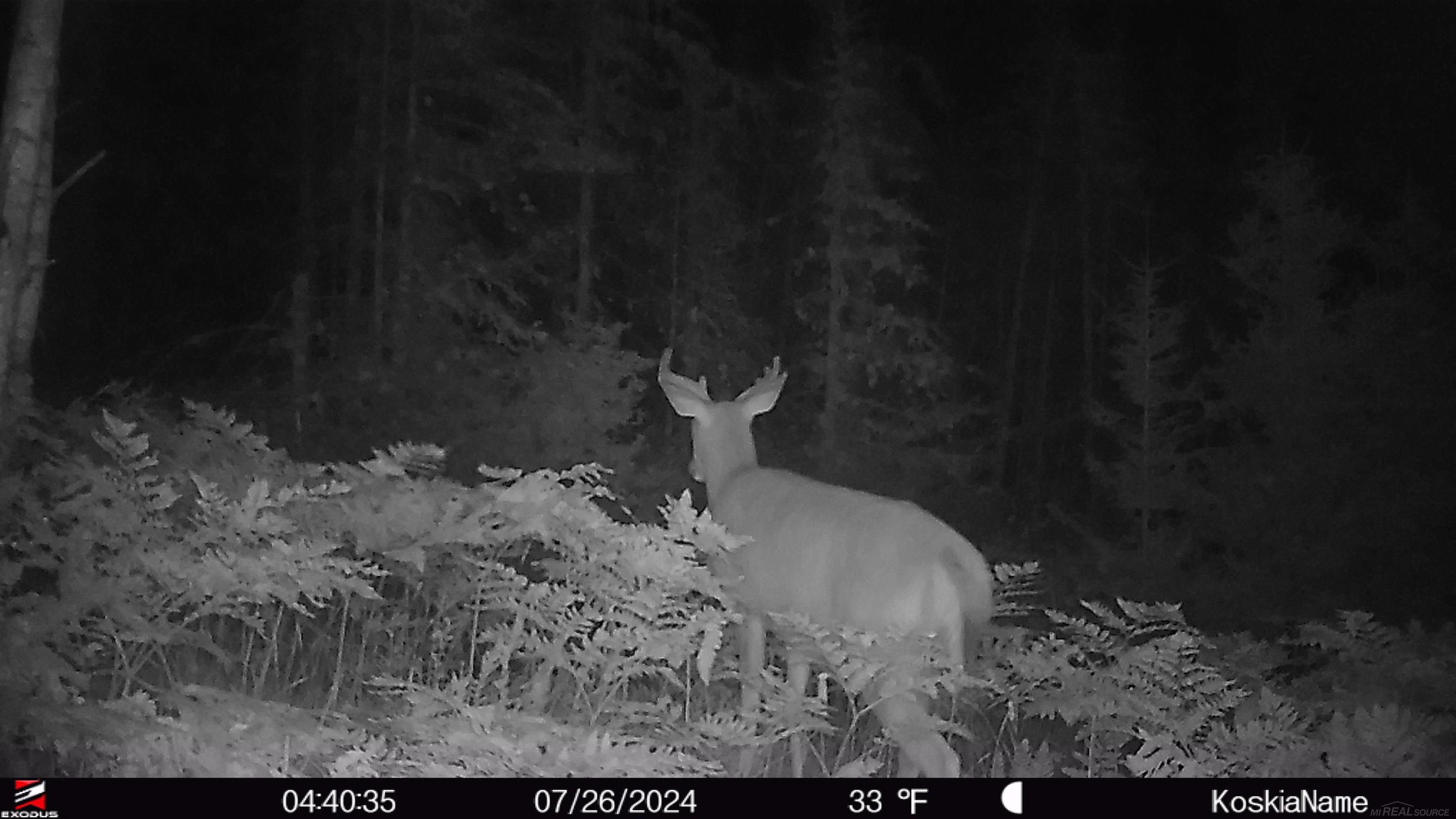 0 County Road Ishpeming, MI 49849 - Photo 84 of 85