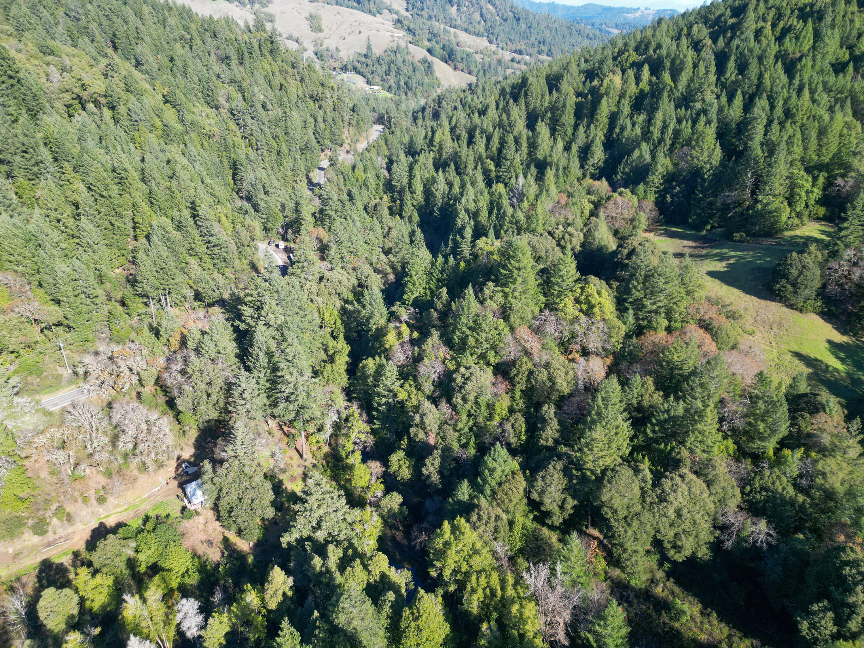 5200 Briceland Road Redway, CA 95560 - Photo 2 of 31