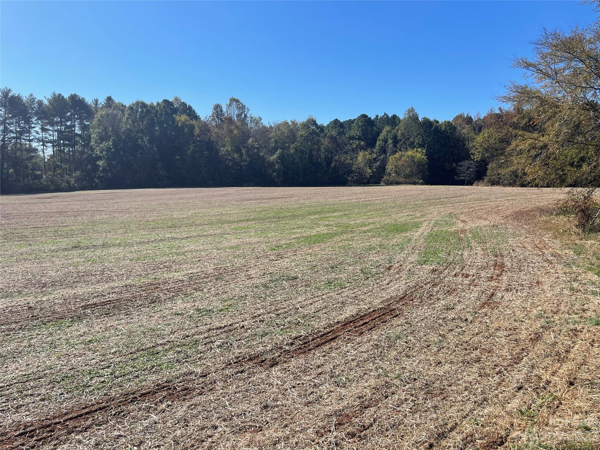 Lot 2 Graham Road Mount Ulla, NC 28125 - Photo 2 of 2 a view of a yard with trees in the background