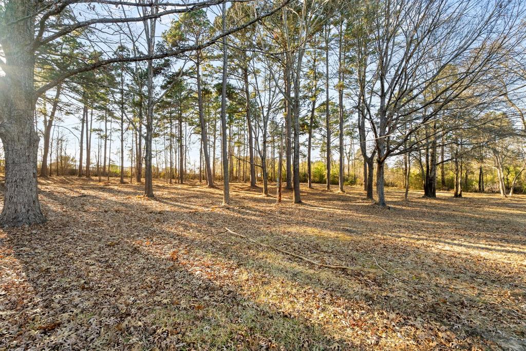 130 Surrey Trail Tyler, TX 75705 - Photo 36 of 40