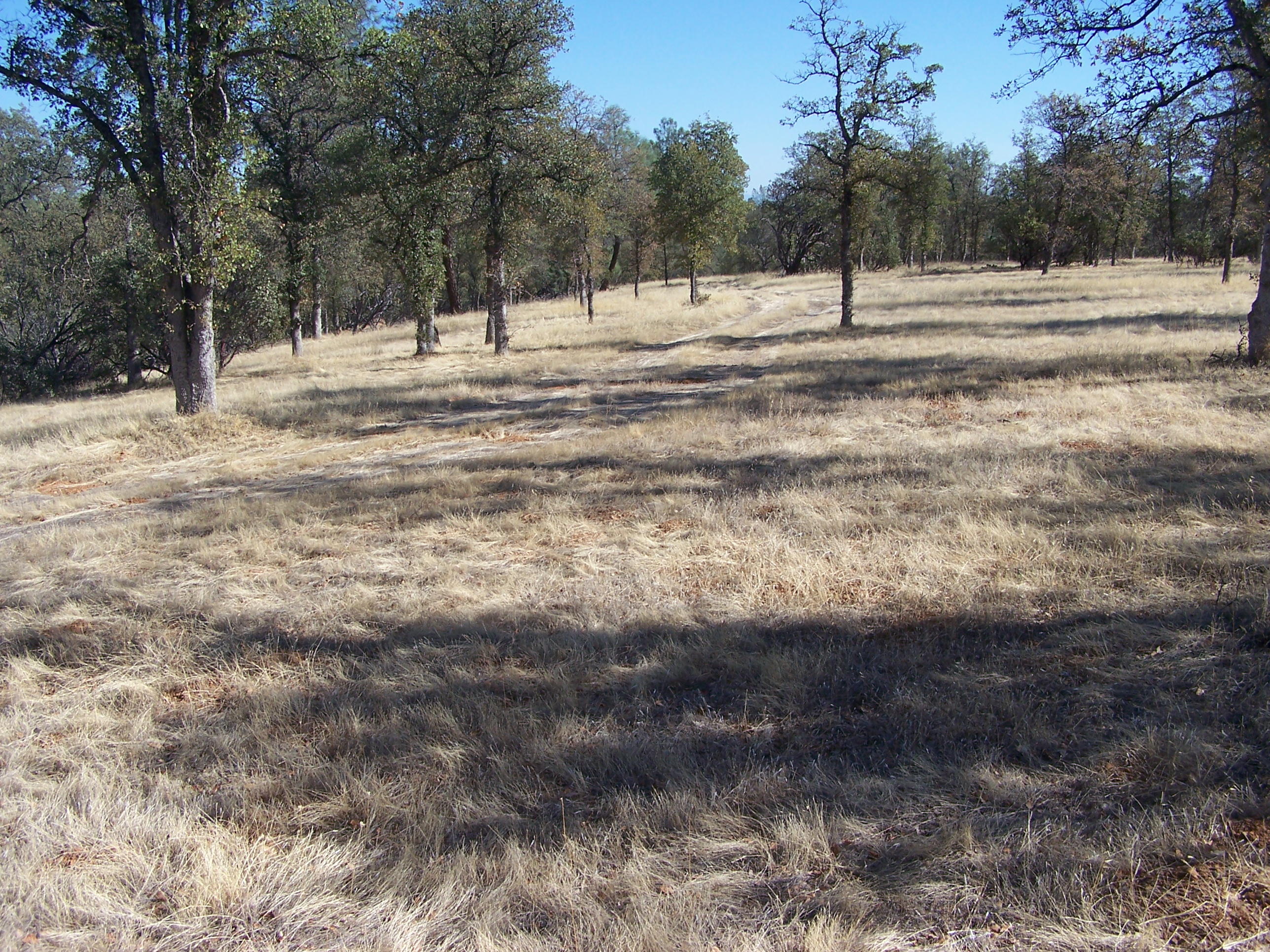 Panther Road Anderson, CA 96022 - Photo 32 of 41 Middle of the souith 10 acre