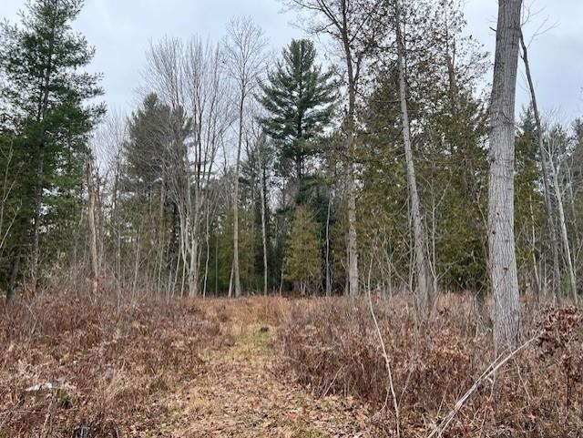 0 North Miller Road East Tawas, MI 48730 - Photo 13 of 23
