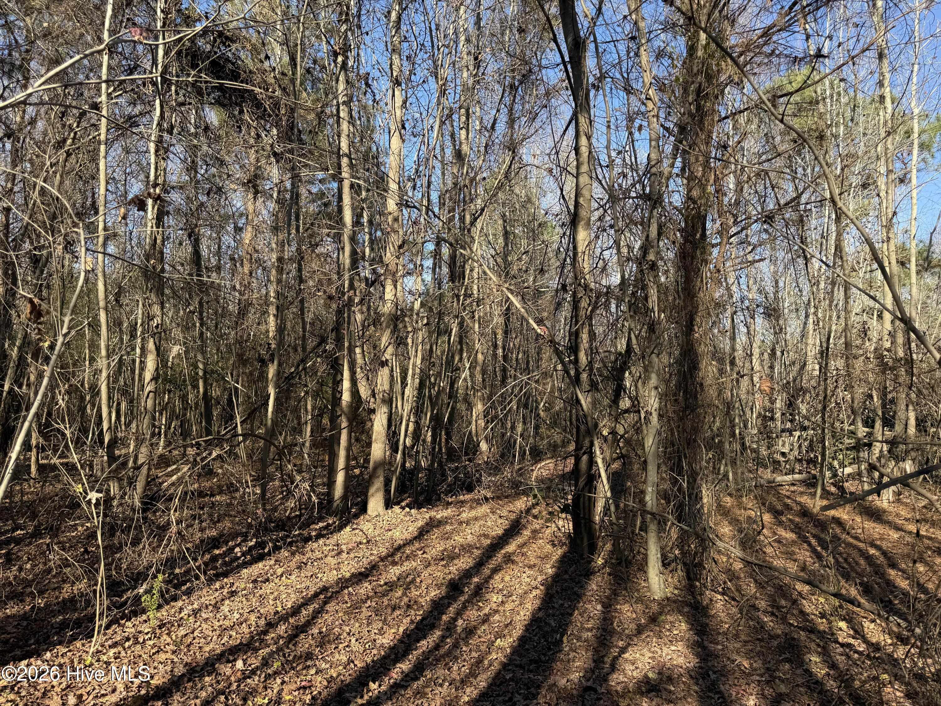 4758 Princess Ann Road Chadbourn, NC 28431 - Photo 35 of 35 Image 35