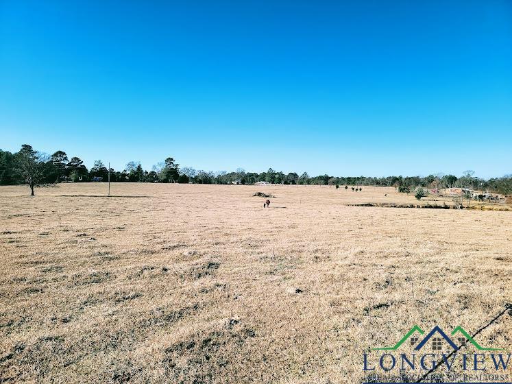 3372 Red Maple Road Big Sandy, TX 75755 - Photo 15 of 34 Gallery Image 15
