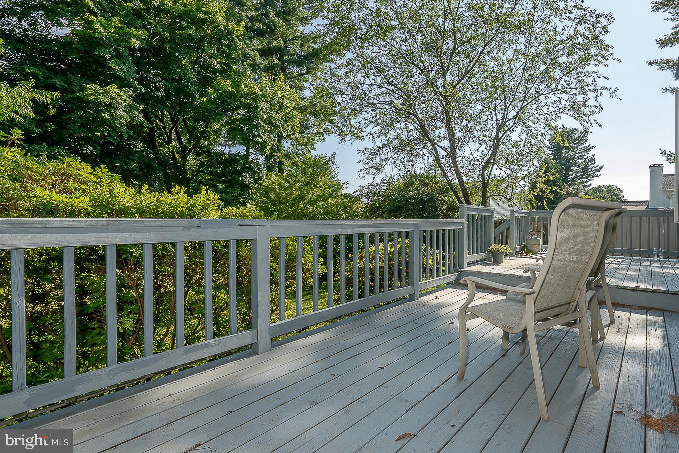 336 Old Lancaster Road Devon, PA 19333 - Photo 18 of 20 Rear Deck