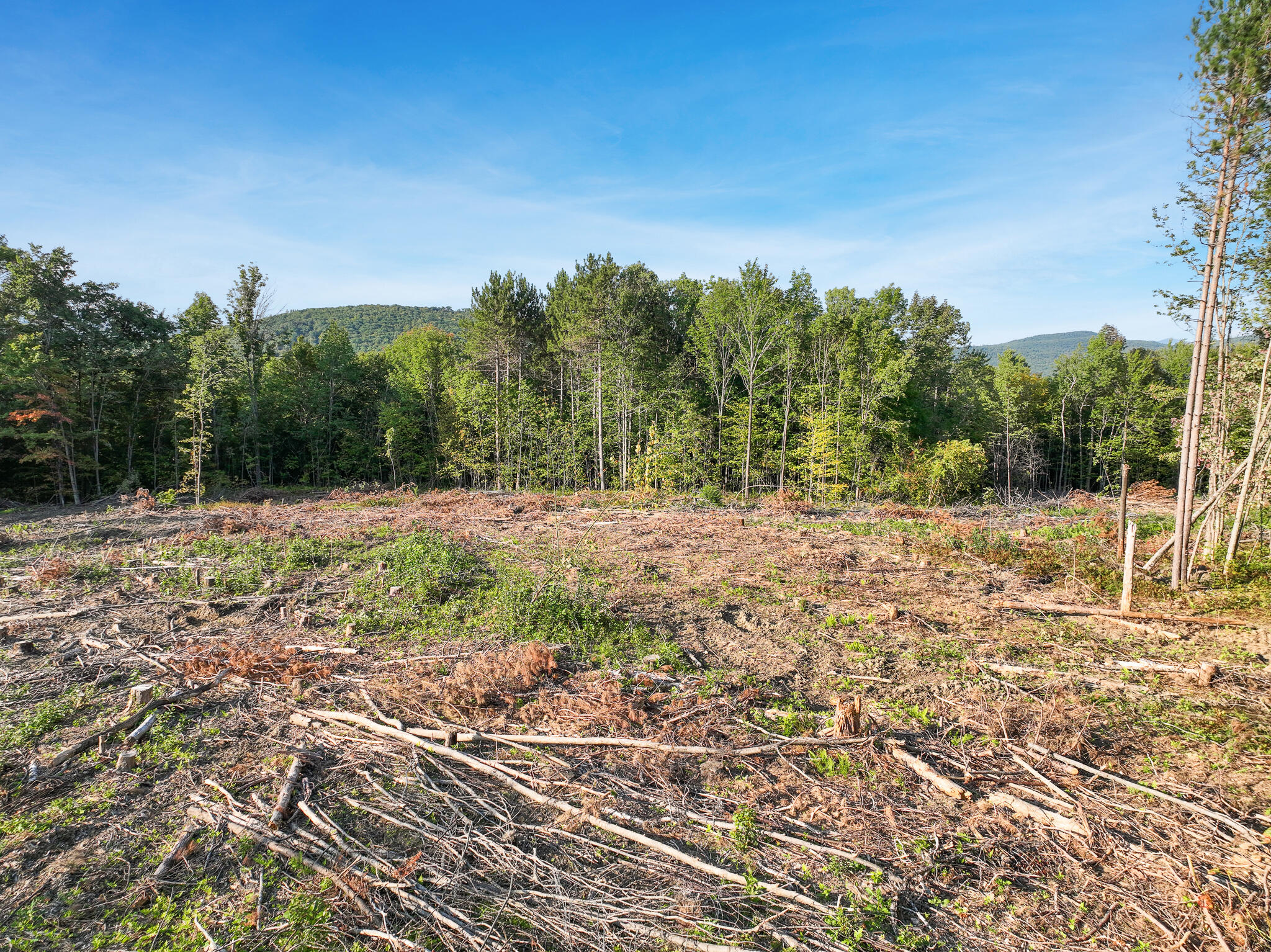 Lot # Eaton Hill Road Rumford, ME 04276 - Photo 7 of 17 2