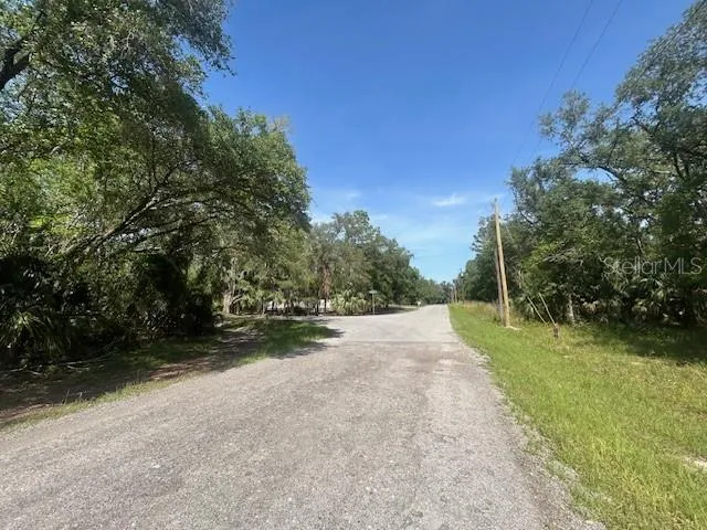 a view of a road with a yard