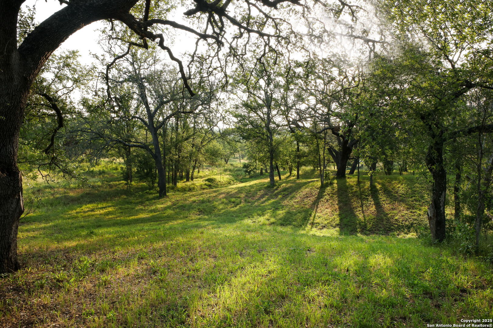 797 Glendale Road Spicewood, TX 78669 - Photo 27 of 48