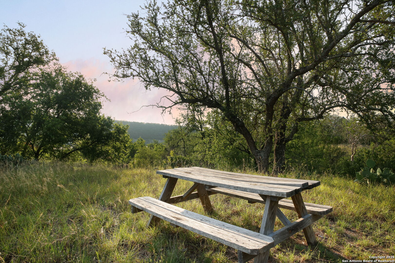 797 Glendale Road Spicewood, TX 78669 - Photo 4 of 48