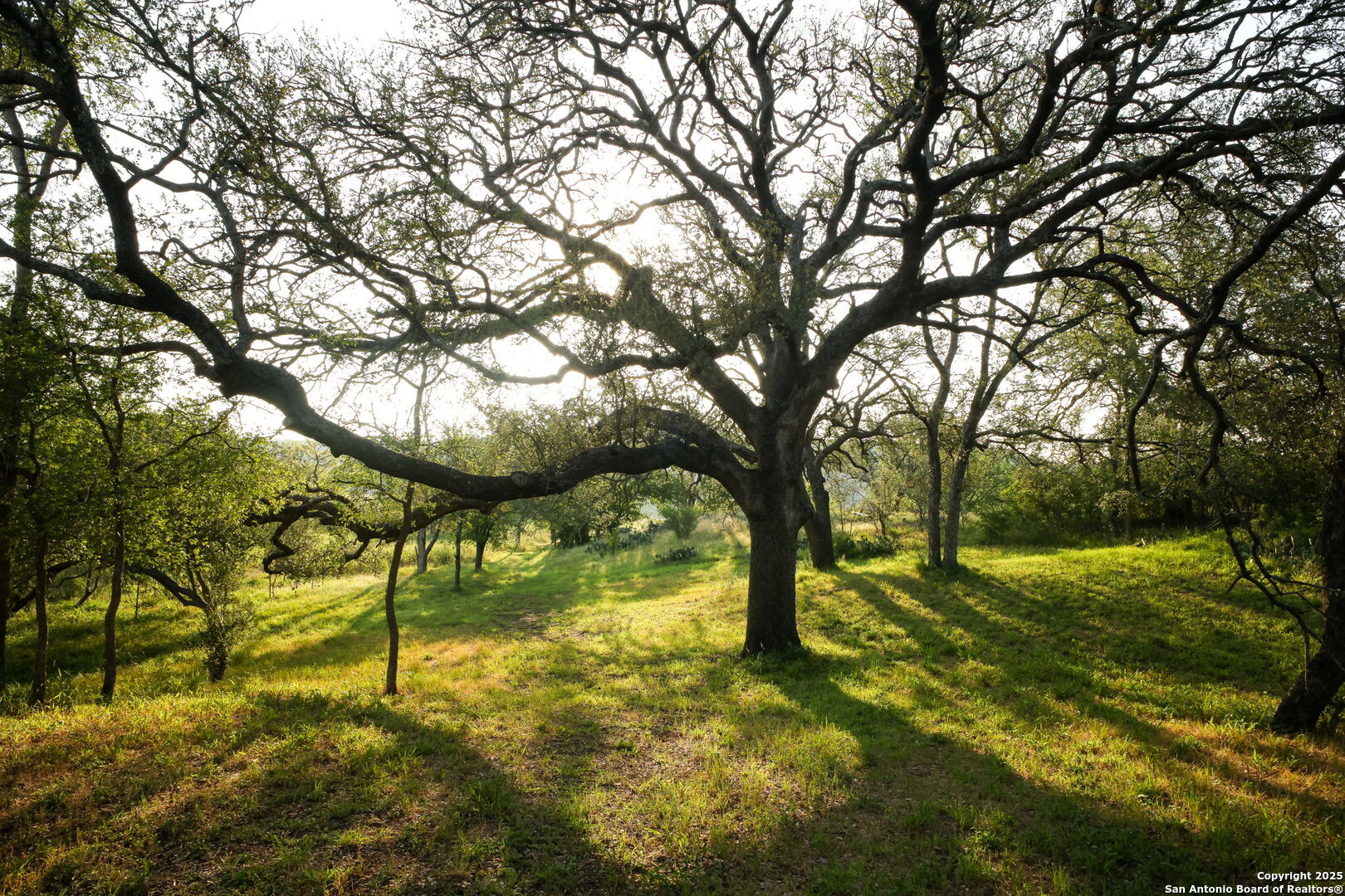797 Glendale Road Spicewood, TX 78669 - Photo 7 of 48