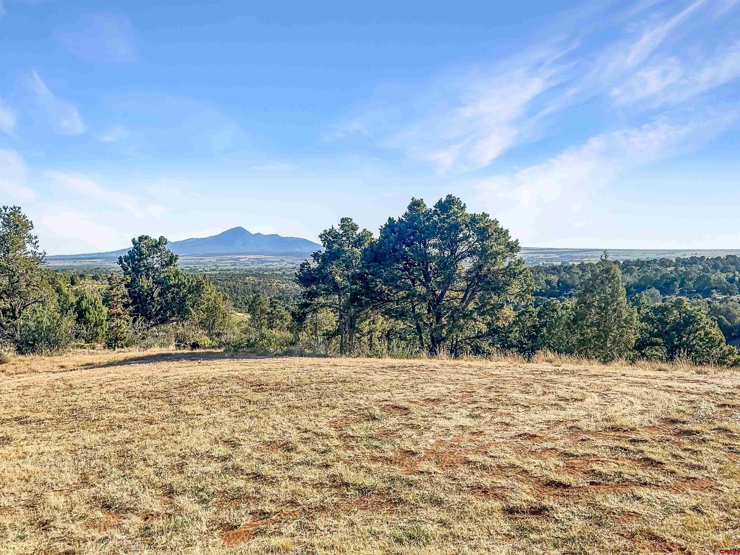 25565 Rd U.8 Dolores, CO 81323 - Photo 35 of 44