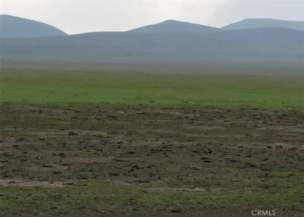 a view of a field with an ocean in the background