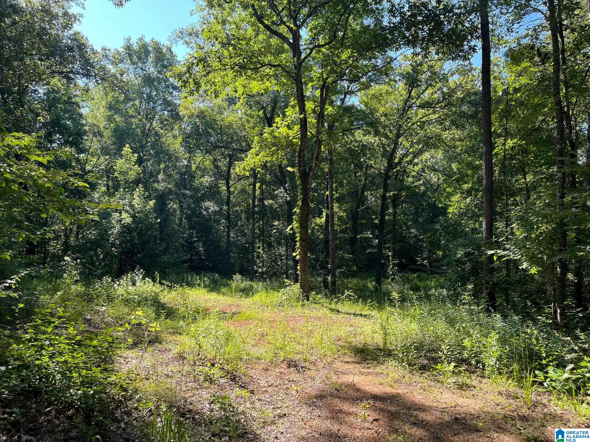 5170 Mcgowans Ferry Road Childersburg, AL 35044 - Photo 5 of 5
