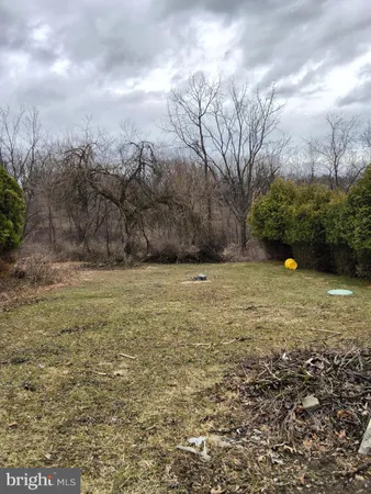 a view of a yard with an trees