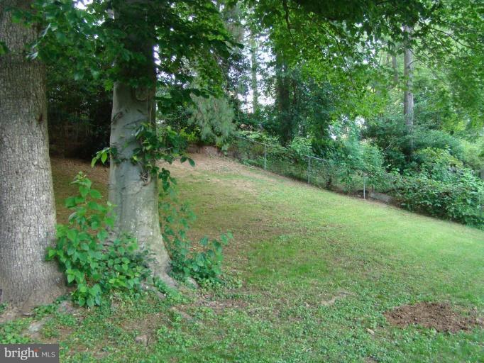 13822 Gilbert Road Woodbridge, VA 22193 - Photo 7 of 28 BACK YARD SHADE