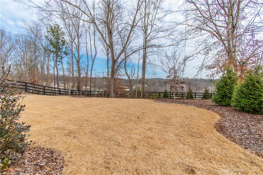 226 Carmichael Drive Canton, GA 30115 - Photo 74 of 87