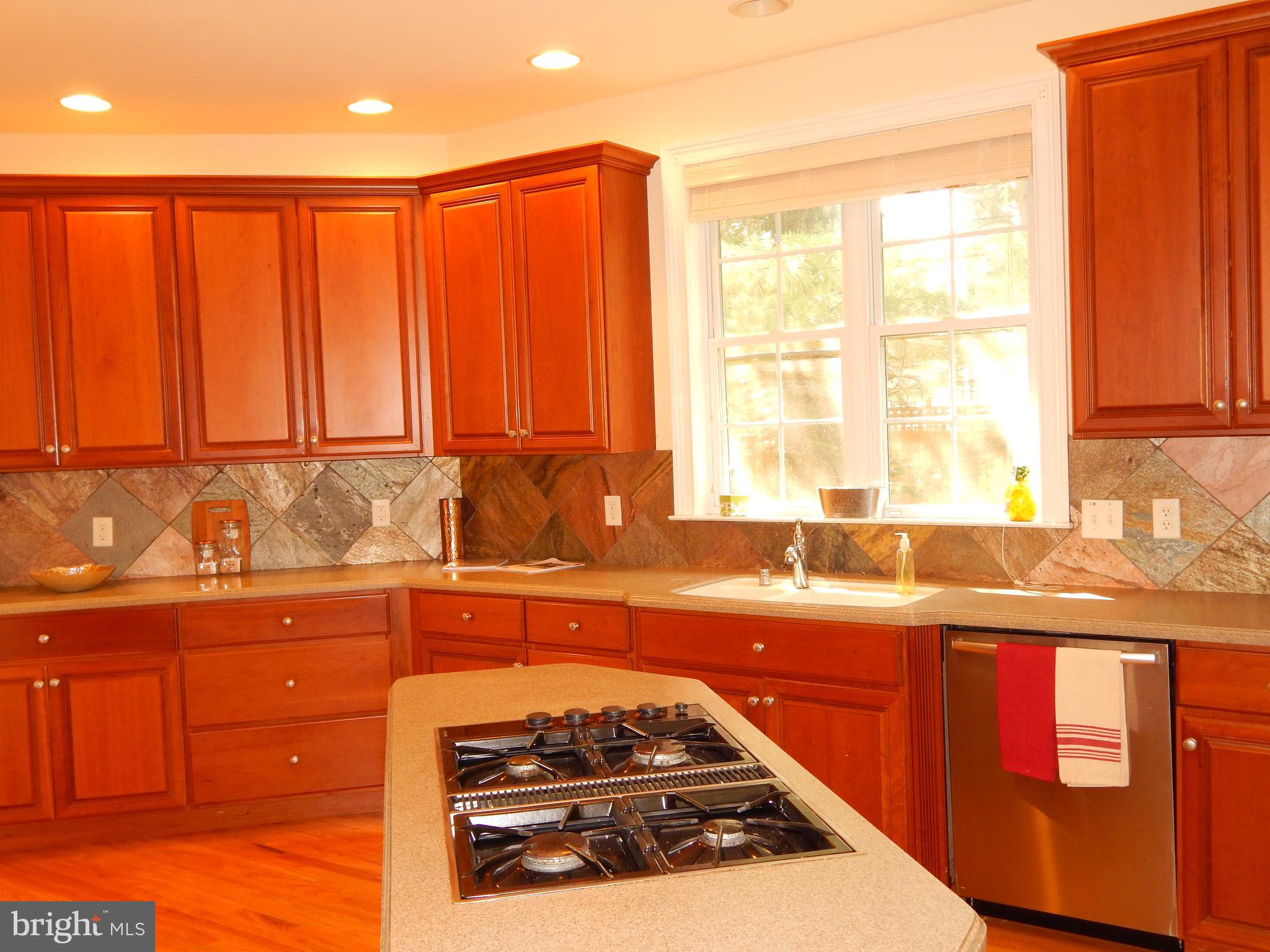 1 Carl Road Wilmington, DE 19803 - Photo 12 of 33 Gallery Image 12