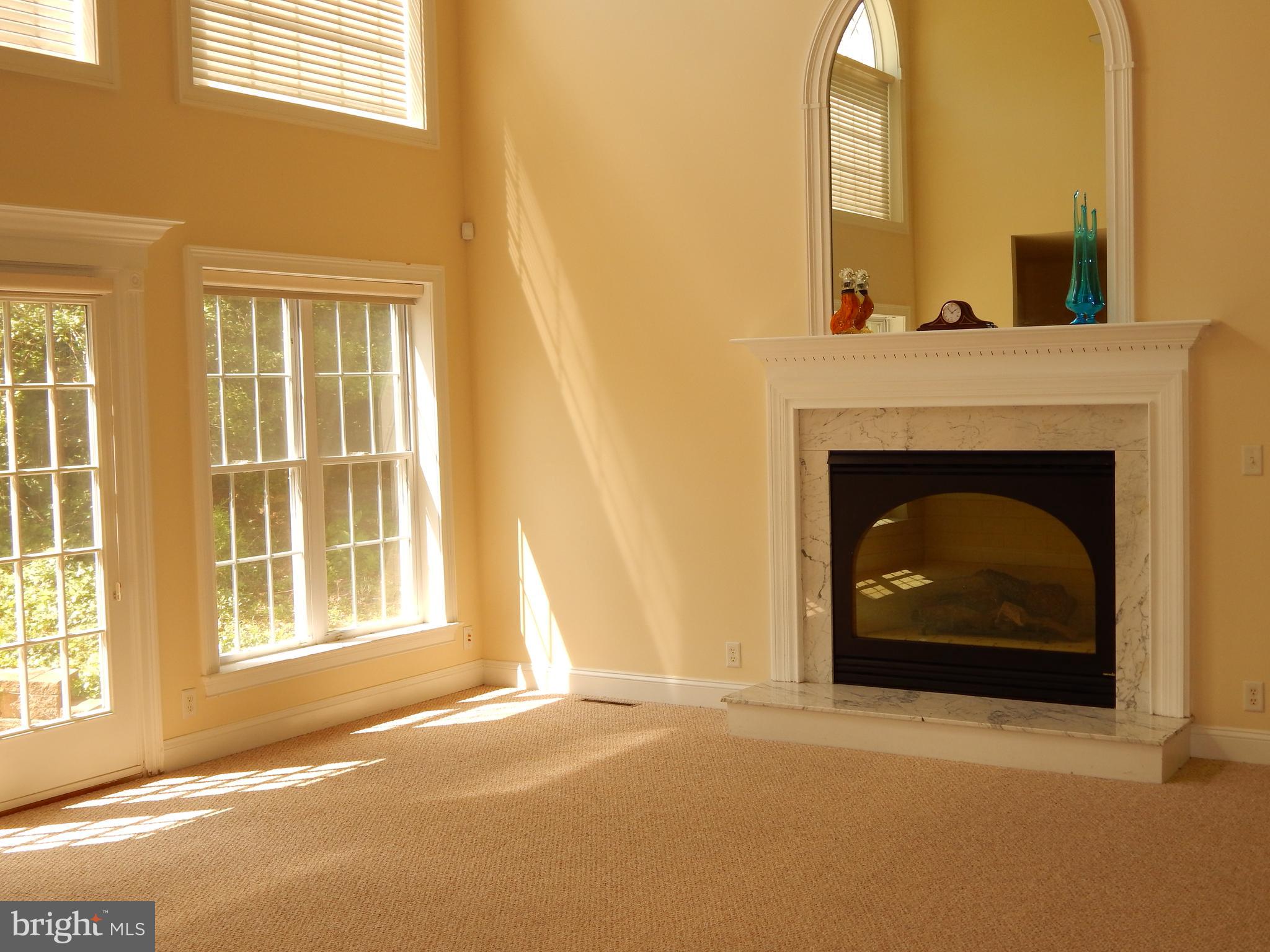 1 Carl Road Wilmington, DE 19803 - Photo 14 of 33 Family room-Gas fireplace with mirror
