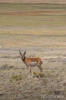 33185-9 9th Hartsel, CO 80449 - Photo 17 of 20